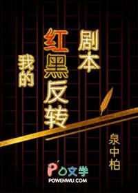 我的红黑时代读后感