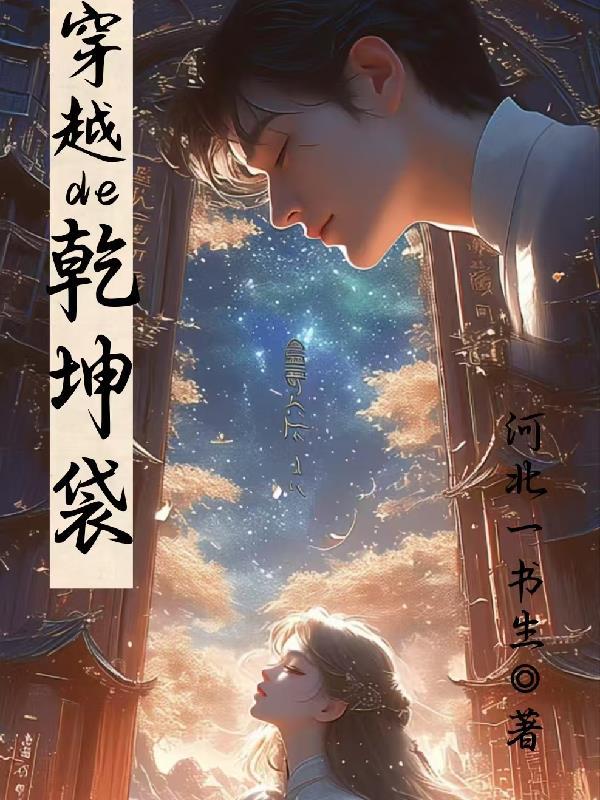 穿越的乾坤袋大结局