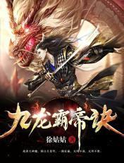 九龙霸帝诀叶枫等级划分